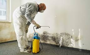 Best Residential Mold Inspection & Testing in USA